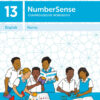 NumberSense Comprehensive Workbook 13