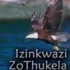 Izinkwazi Zothukela by P.M. Makhanya (Poetry)