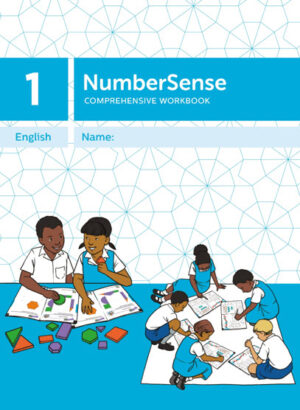 NumberSense Comprehensive Workbook 1