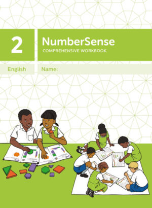 NumberSense Comprehensive Workbook 2