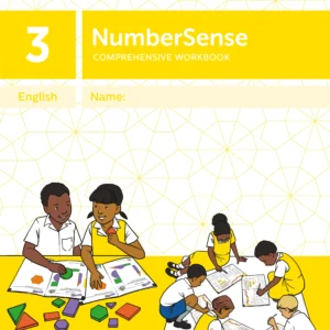 NumberSense Comprehensive Workbook 3
