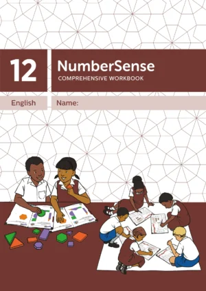 NumberSense Comprehensive Workbook 12