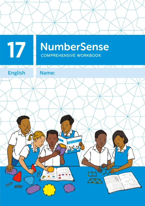 NumberSense Comprehensive Workbook 17