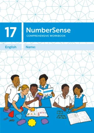 NumberSense Comprehensive Workbook 17